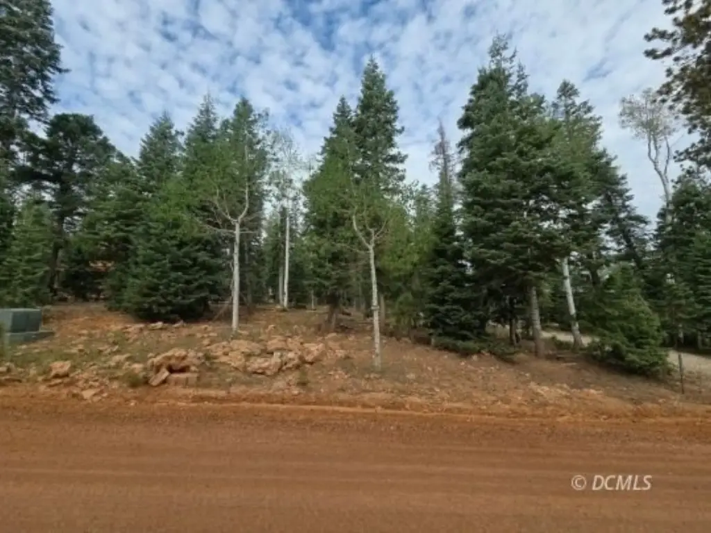 Picture 11