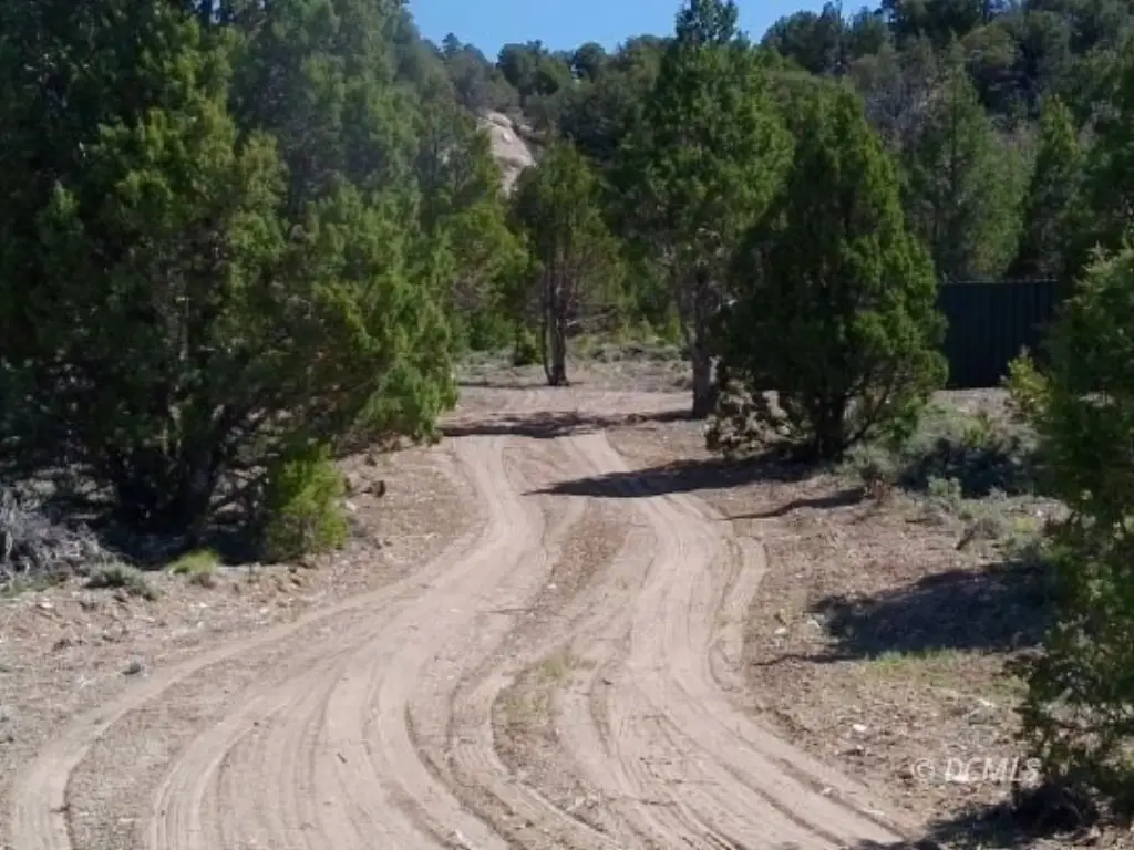 Picture 11