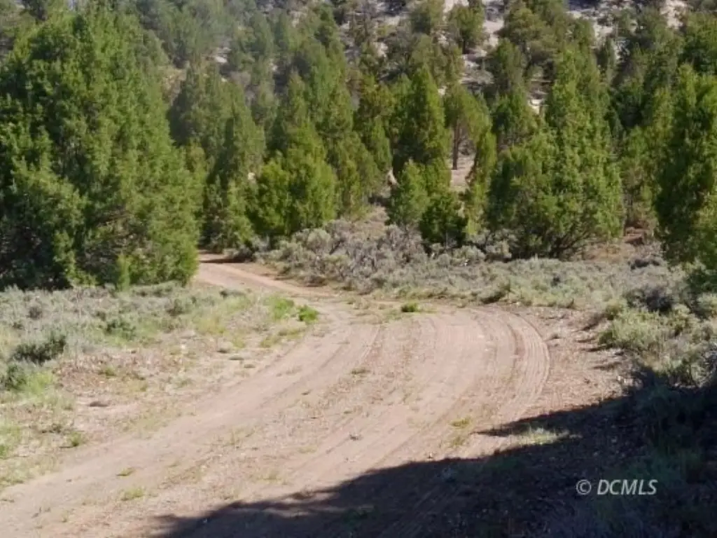 Picture 10