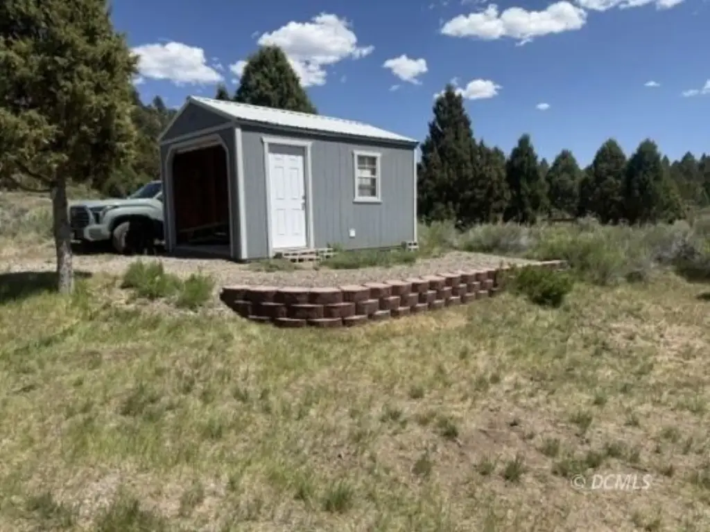 Picture 28