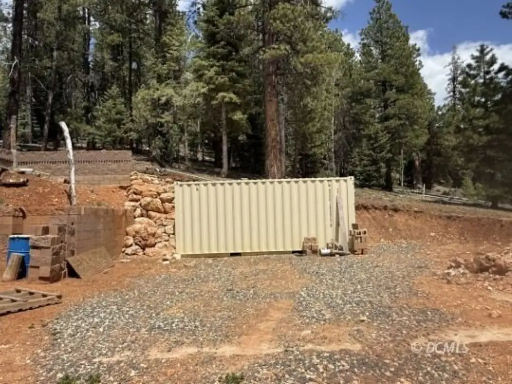Picture 4