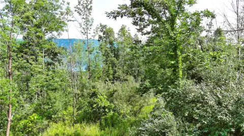 Approved Building Lot with Road Frontage