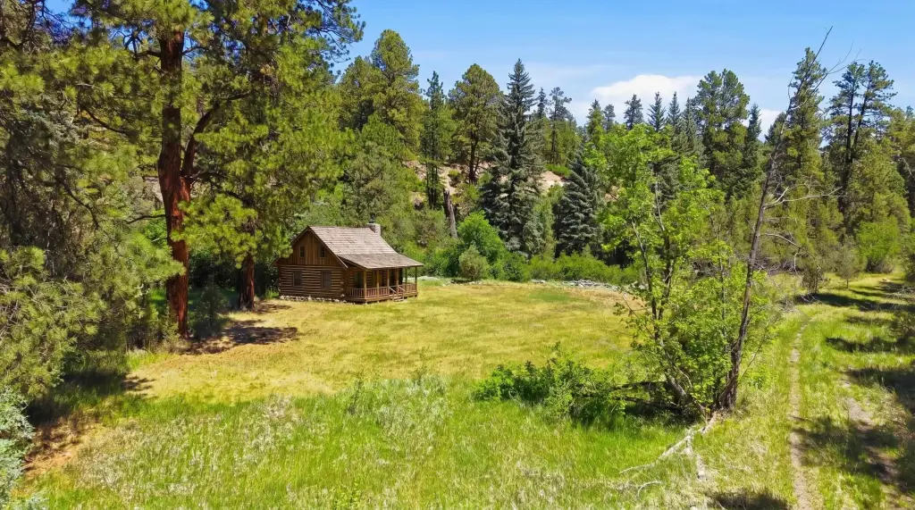 Picture 6