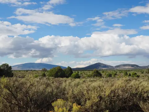 Mountain-View Land Bordering BLM