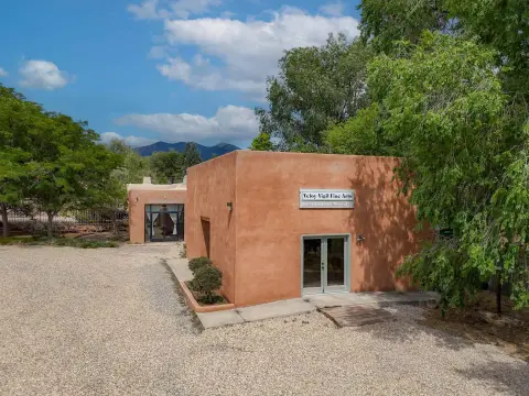 Retail Space with Gallery Building