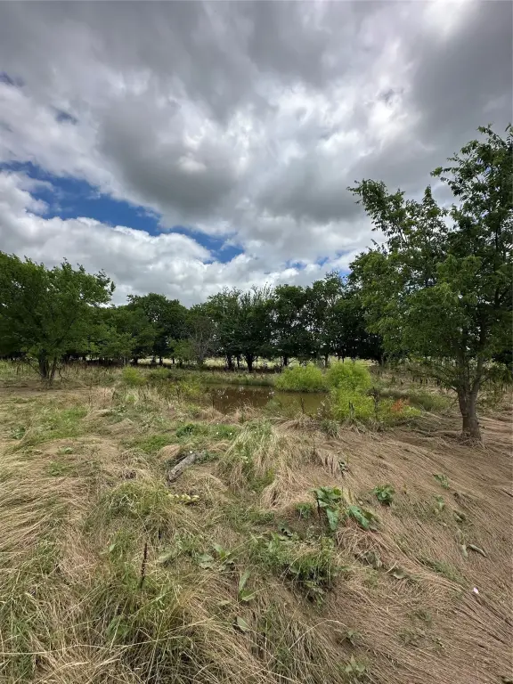 Picture 19