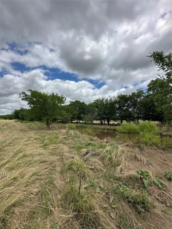 Picture 20