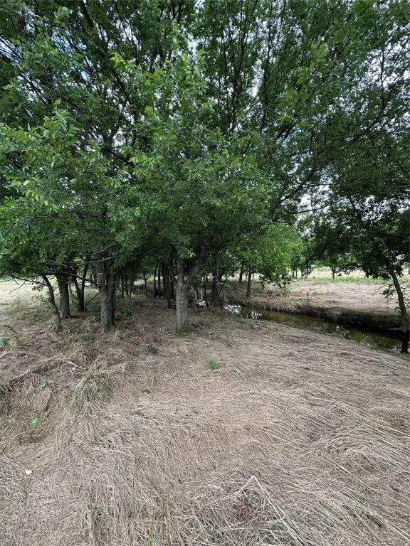 Picture 16