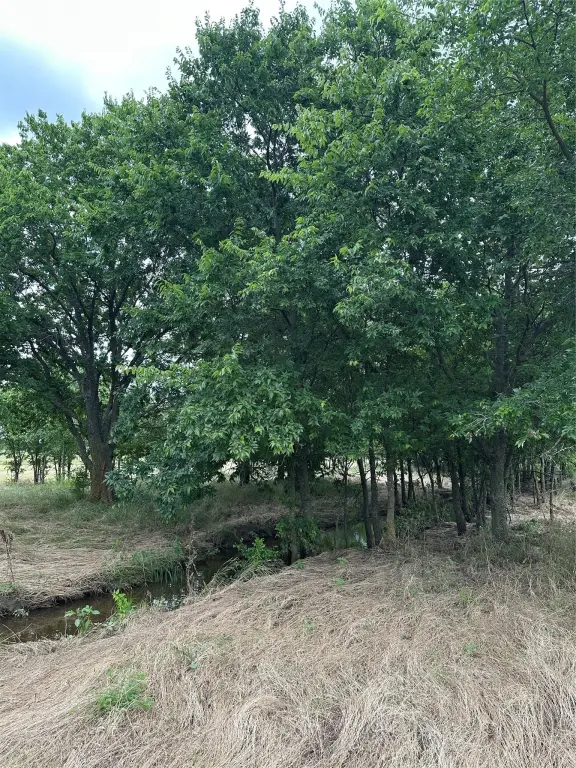 Picture 24