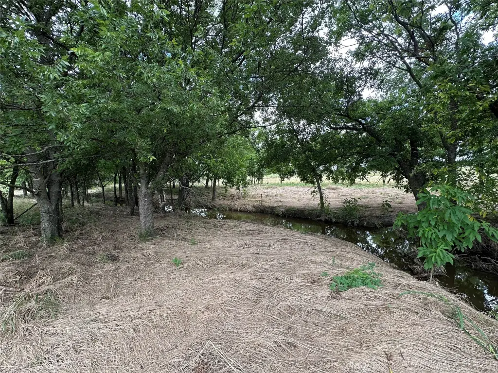 Picture 22