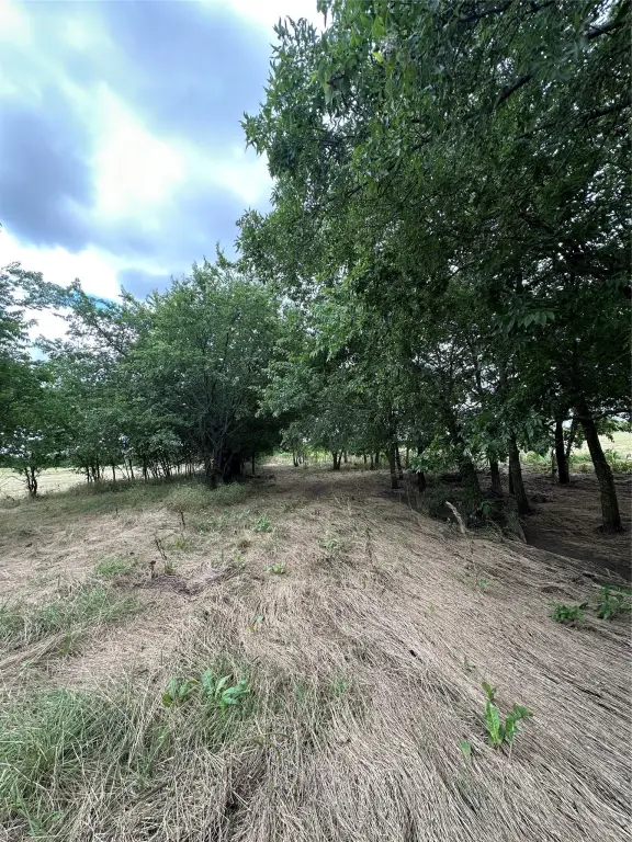 Picture 14