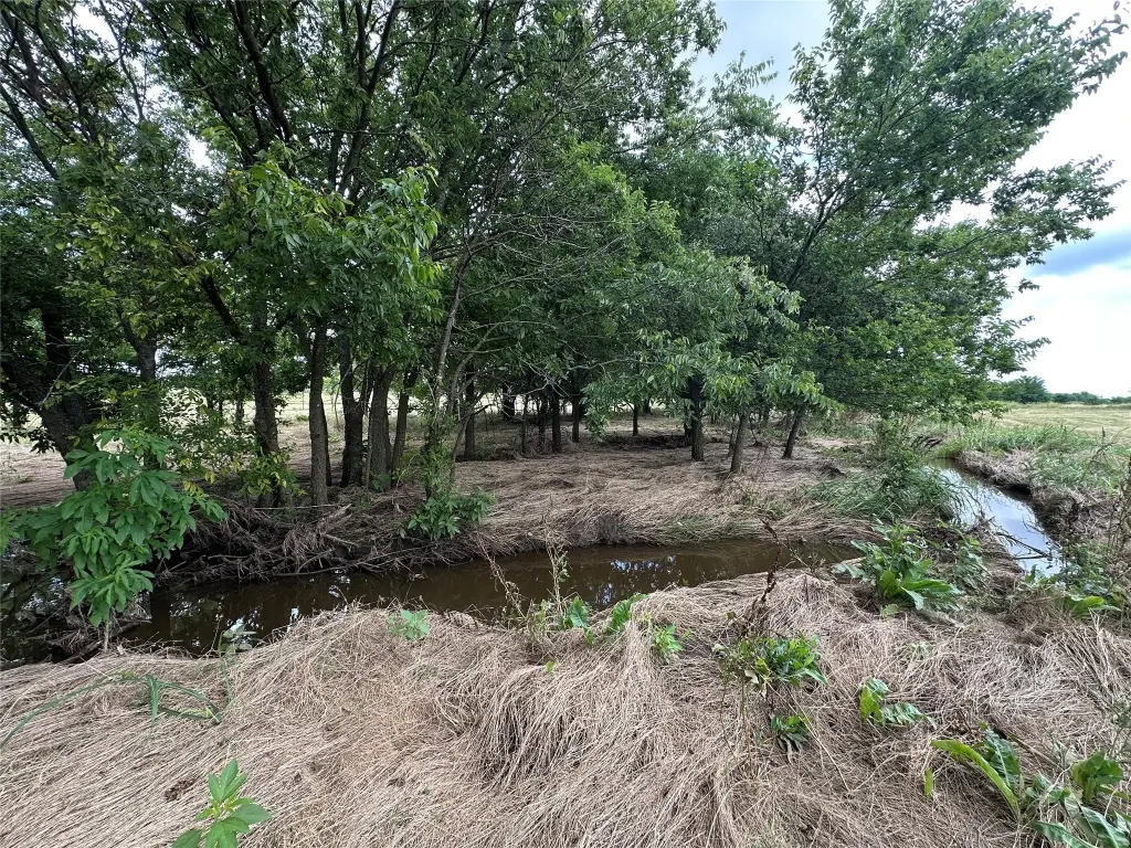 Picture 23
