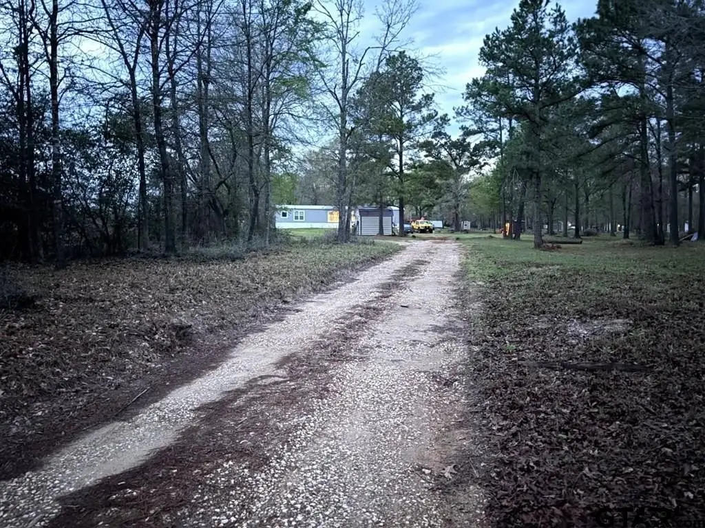 Picture 3