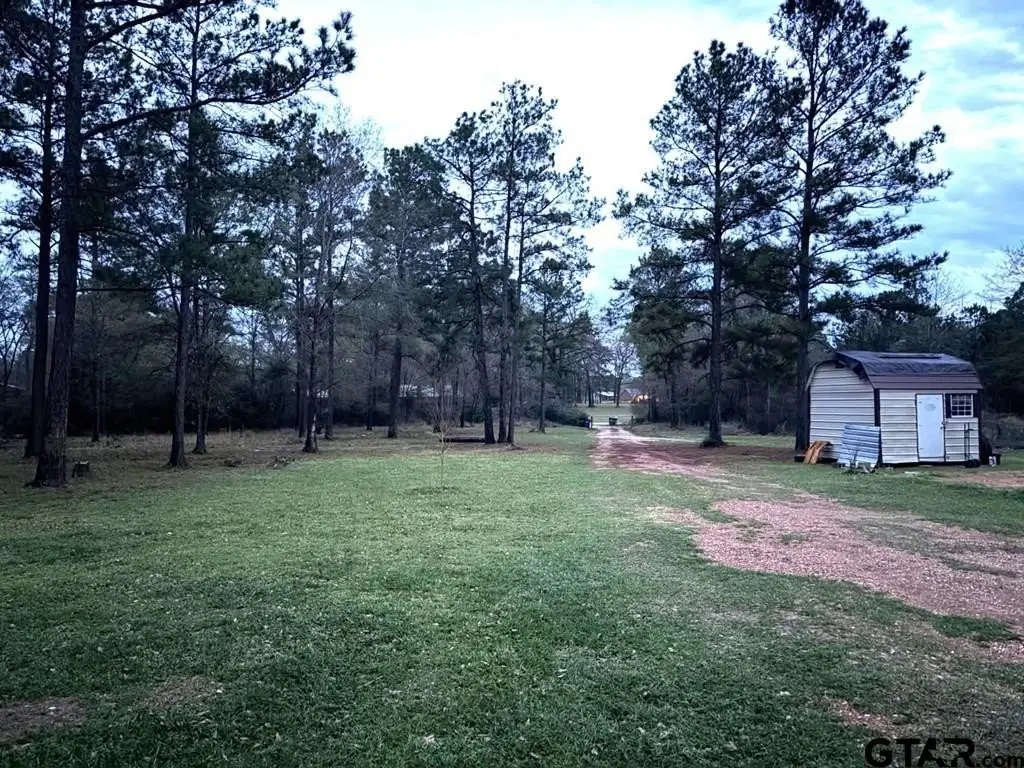 Picture 6