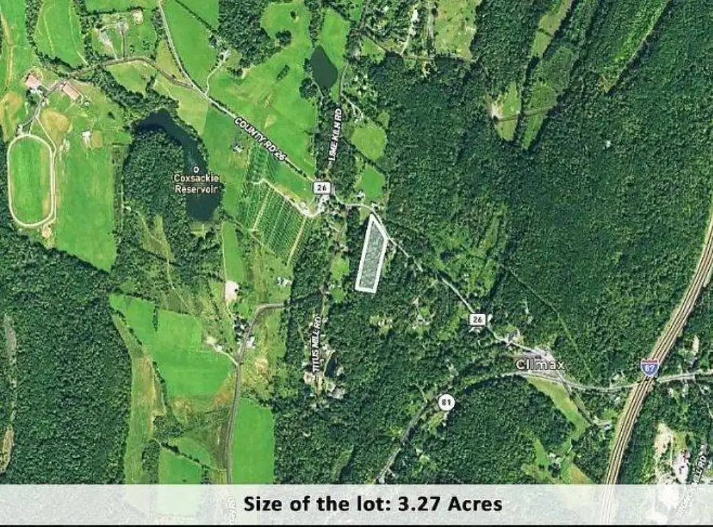 Picture 11