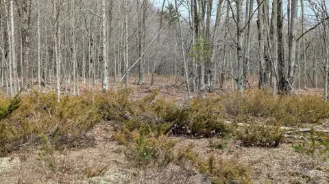 Land in Quiet Country Setting