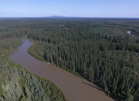 Teklanika River Waterfront Land