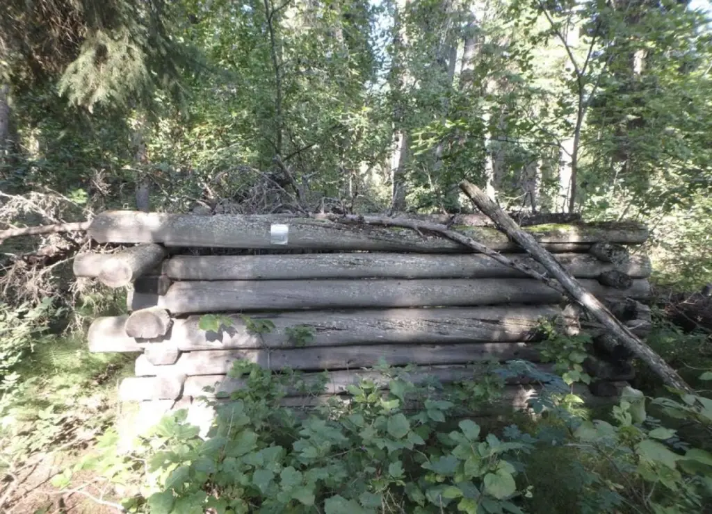 Picture 4