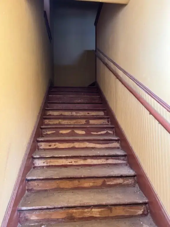 Picture 6