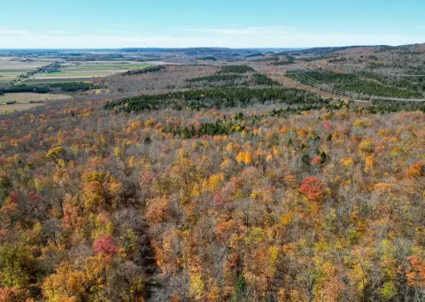 Wooded Hunting Land with Cabin