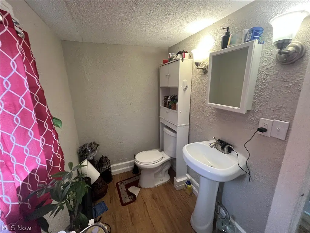 Picture 11
