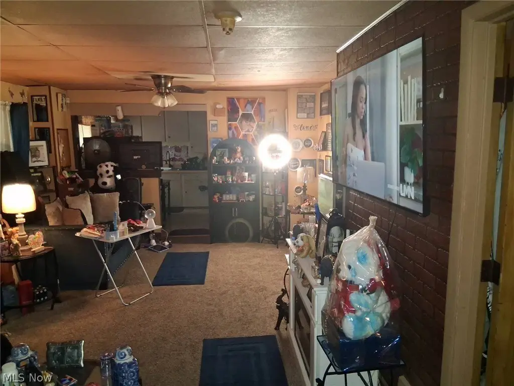 Picture 9