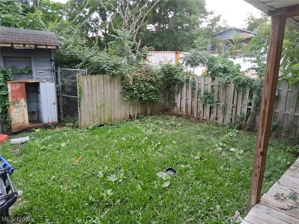 Picture 6