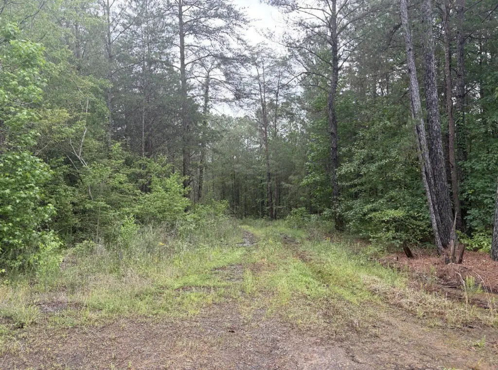 Picture 17