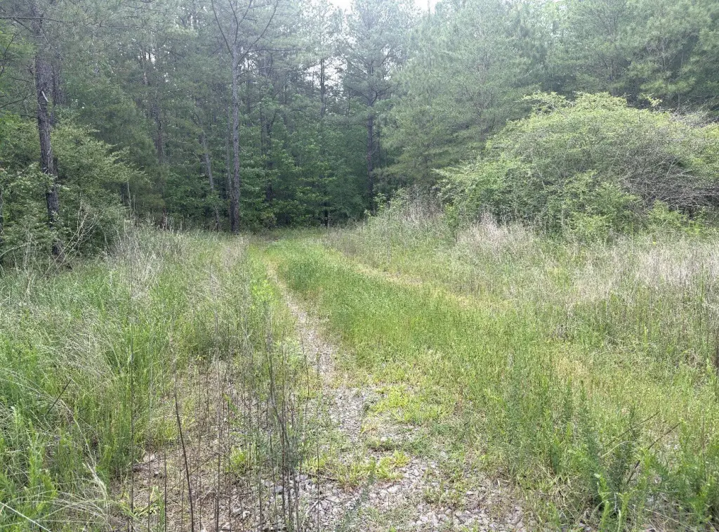 Picture 11