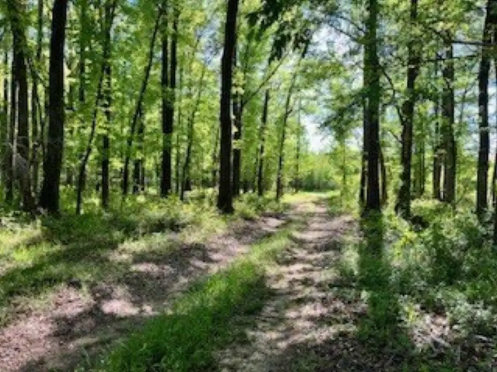 Picture 12
