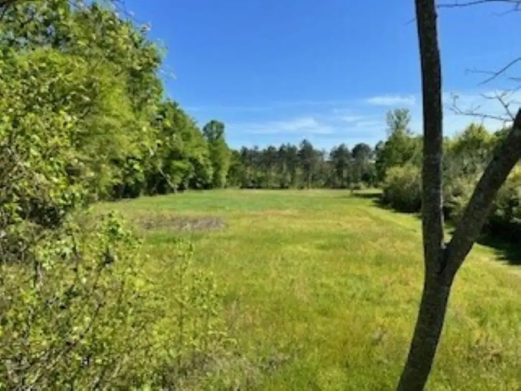 Picture 8