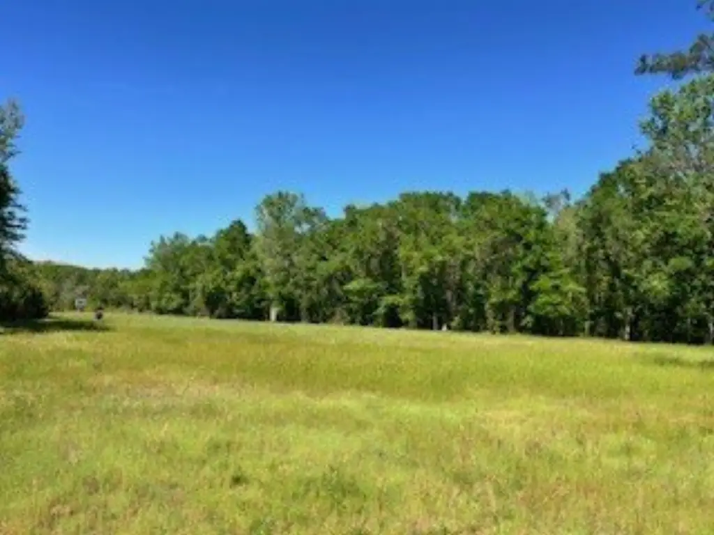Picture 18