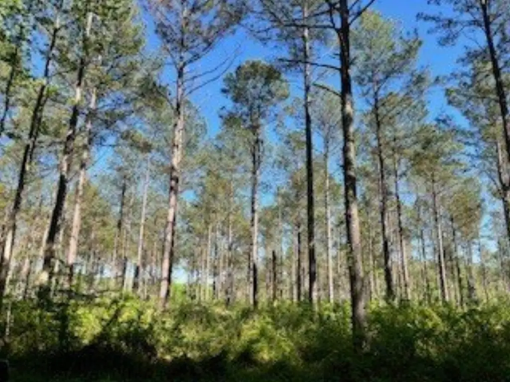 Picture 7
