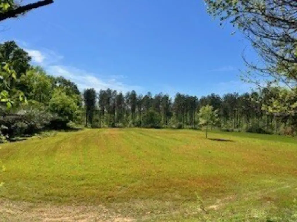 Picture 15