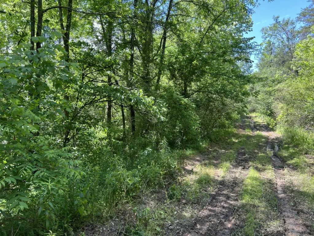 Picture 24