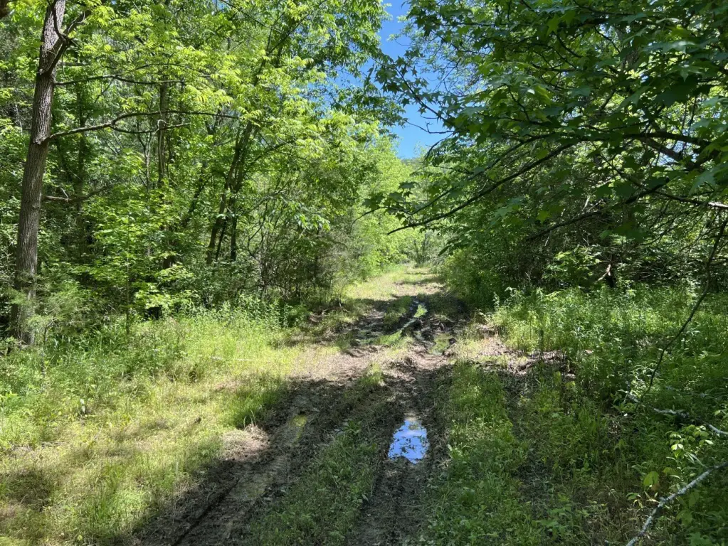 Picture 25