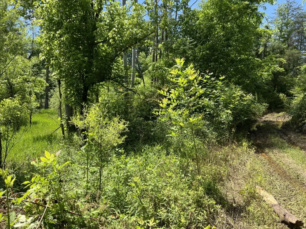 Picture 23