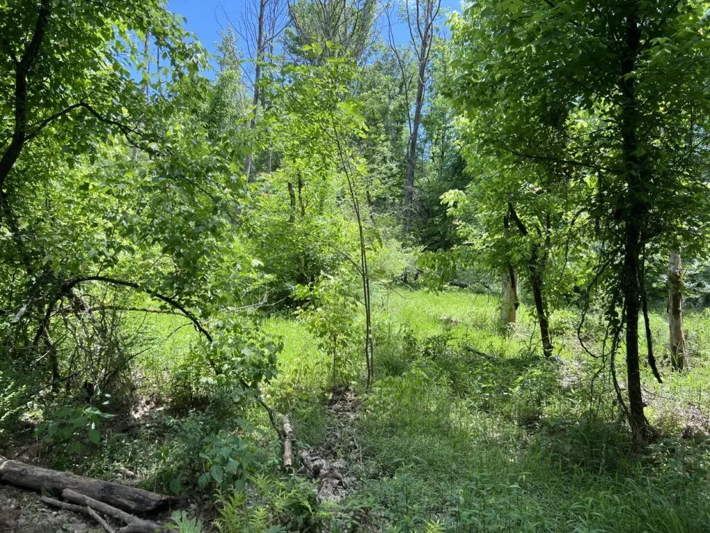 Picture 16