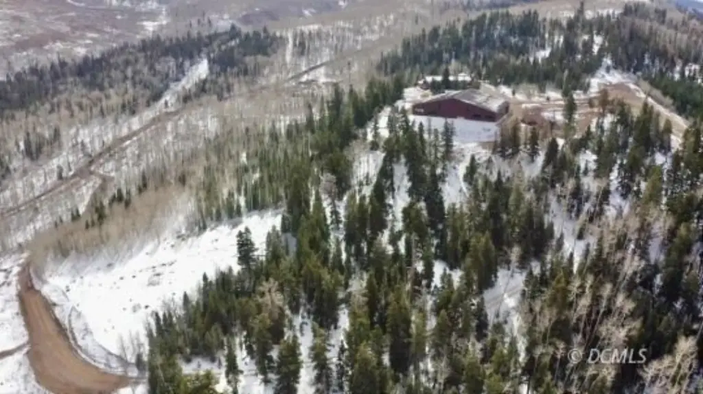 Picture 4