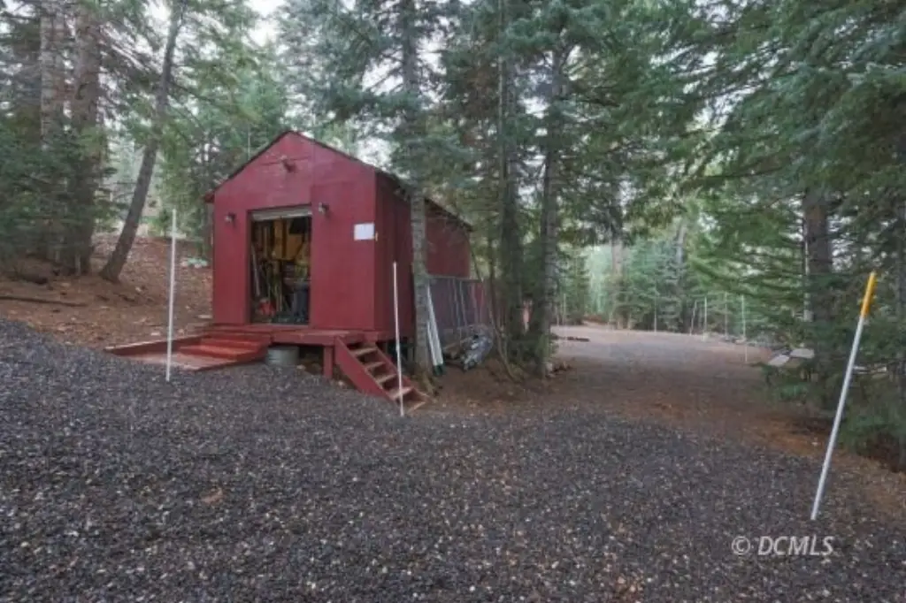 Picture 8
