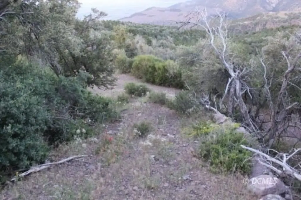 Picture 10