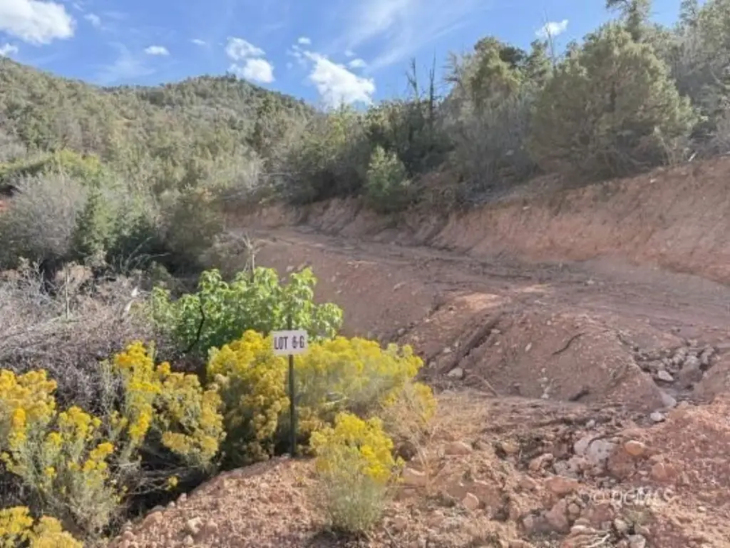 Picture 19