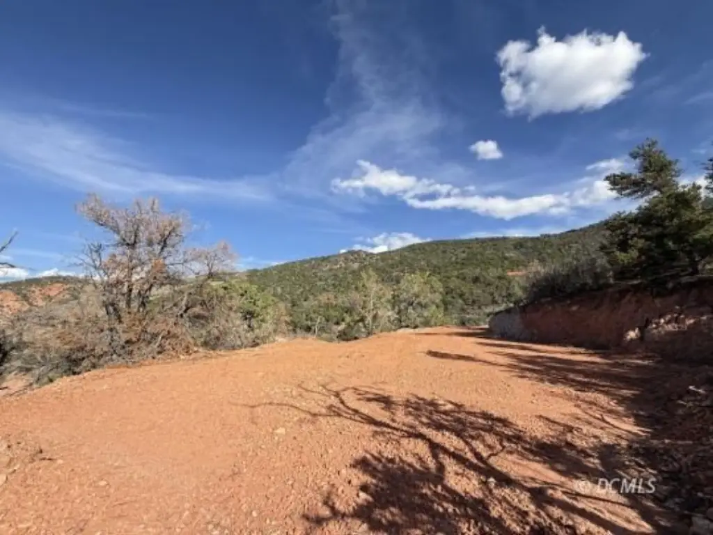 Picture 19