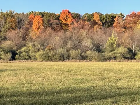 Undeveloped Land Near Big Rapids
