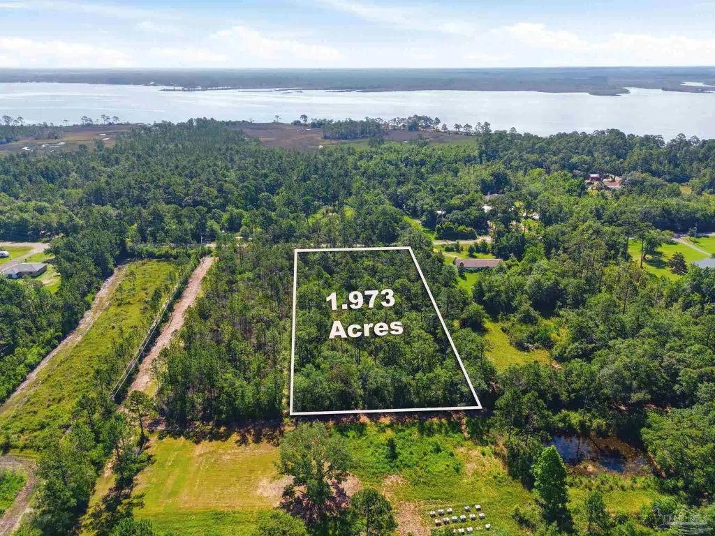 Picture 2