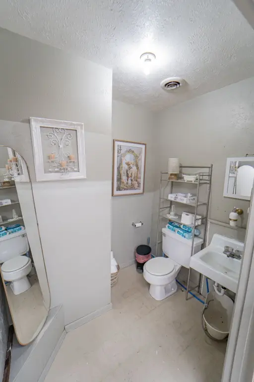 Picture 16