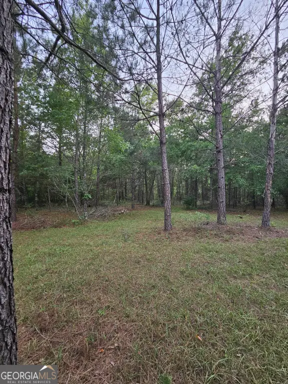 Picture 6