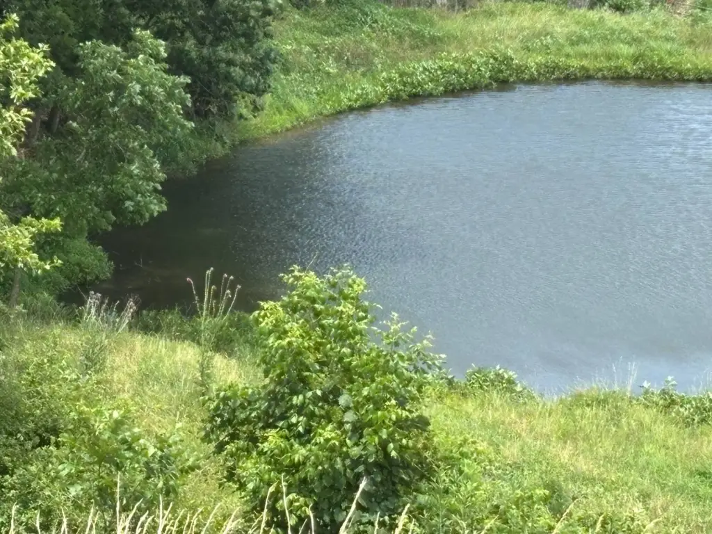 Picture 9