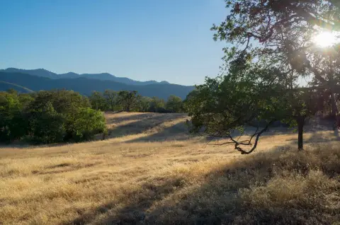 Agricultural Land with Pasture and Forest