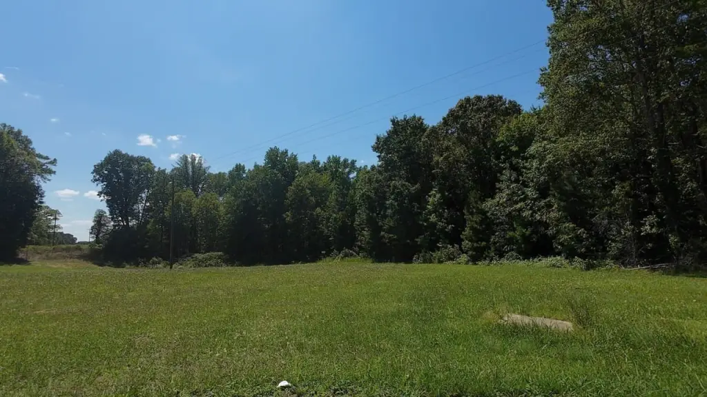 Picture 28
